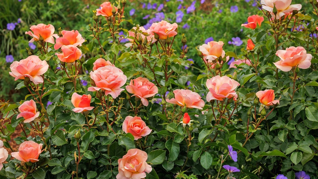 5 Garden Design Trends You Need to Know this Season